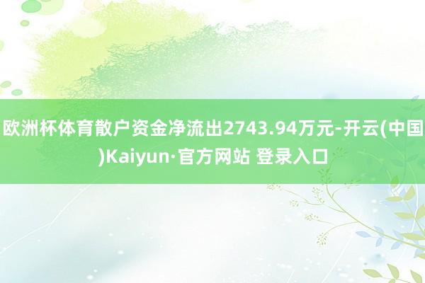 欧洲杯体育散户资金净流出2743.94万元-开云(中国)Kaiyun·官方网站 登录入口