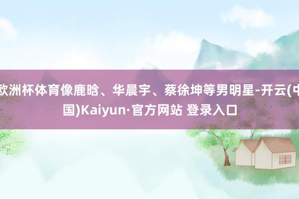 欧洲杯体育像鹿晗、华晨宇、蔡徐坤等男明星-开云(中国)Kaiyun·官方网站 登录入口