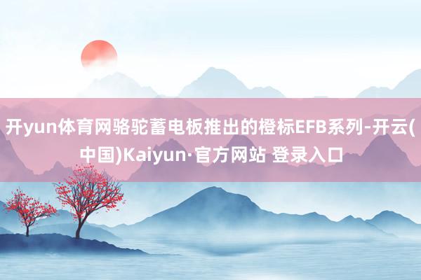 开yun体育网骆驼蓄电板推出的橙标EFB系列-开云(中国)Kaiyun·官方网站 登录入口