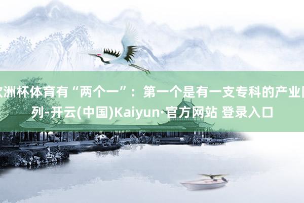 欧洲杯体育有“两个一”：第一个是有一支专科的产业队列-开云(中国)Kaiyun·官方网站 登录入口