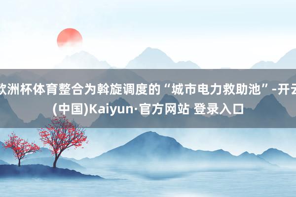 欧洲杯体育整合为斡旋调度的“城市电力救助池”-开云(中国)Kaiyun·官方网站 登录入口