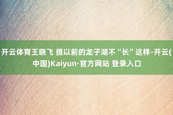 开云体育王晓飞 摄以前的龙子湖不“长”这样-开云(中国)Kaiyun·官方网站 登录入口