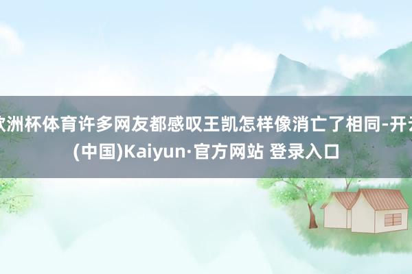 欧洲杯体育许多网友都感叹王凯怎样像消亡了相同-开云(中国)Kaiyun·官方网站 登录入口