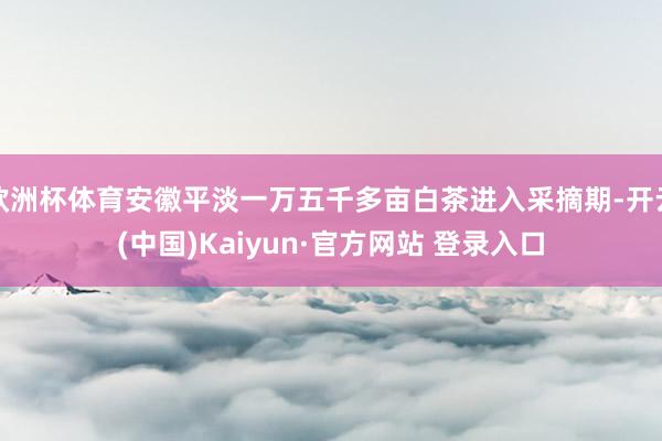 欧洲杯体育安徽平淡一万五千多亩白茶进入采摘期-开云(中国)Kaiyun·官方网站 登录入口