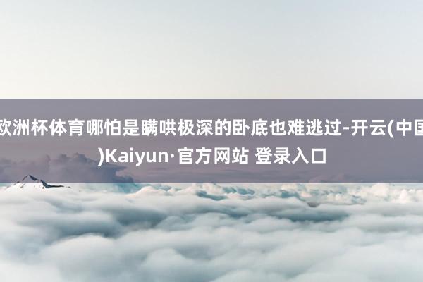 欧洲杯体育哪怕是瞒哄极深的卧底也难逃过-开云(中国)Kaiyun·官方网站 登录入口