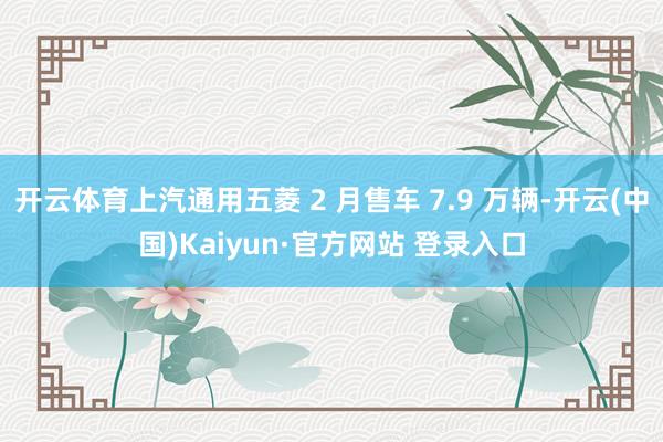 开云体育上汽通用五菱 2 月售车 7.9 万辆-开云(中国)Kaiyun·官方网站 登录入口