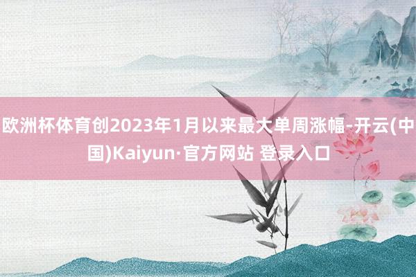 欧洲杯体育创2023年1月以来最大单周涨幅-开云(中国)Kaiyun·官方网站 登录入口