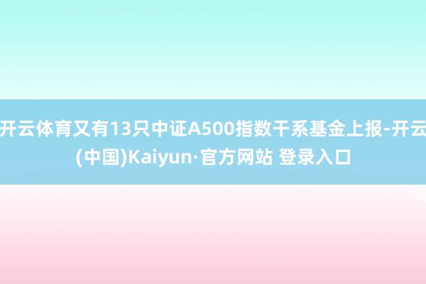 开云体育又有13只中证A500指数干系基金上报-开云(中国)Kaiyun·官方网站 登录入口