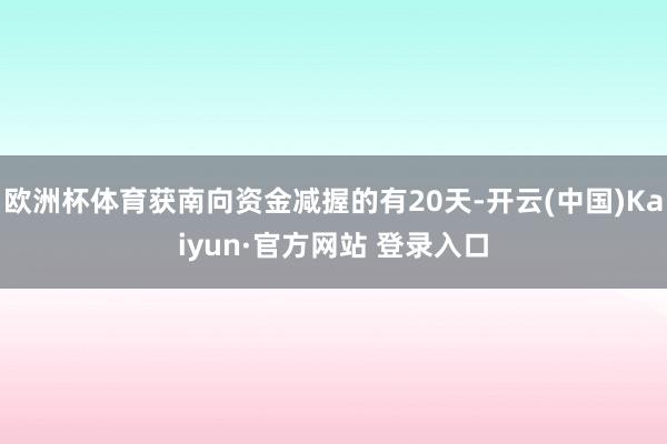 欧洲杯体育获南向资金减握的有20天-开云(中国)Kaiyun·官方网站 登录入口