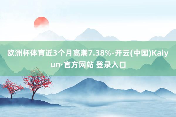 欧洲杯体育近3个月高潮7.38%-开云(中国)Kaiyun·官方网站 登录入口