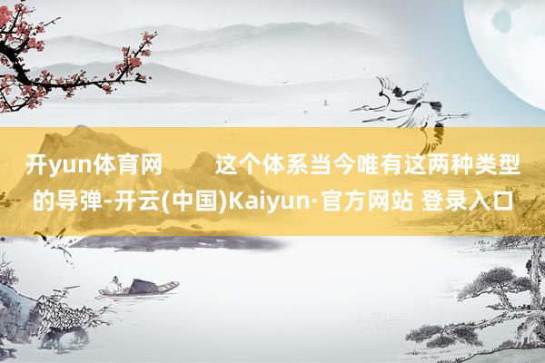 开yun体育网        这个体系当今唯有这两种类型的导弹-开云(中国)Kaiyun·官方网站 登录入口