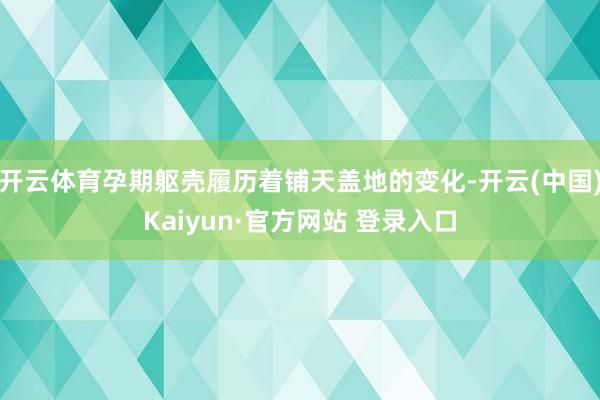 开云体育孕期躯壳履历着铺天盖地的变化-开云(中国)Kaiyun·官方网站 登录入口