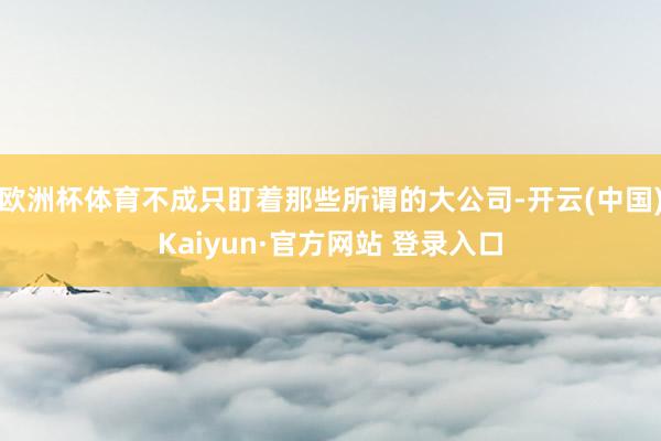 欧洲杯体育不成只盯着那些所谓的大公司-开云(中国)Kaiyun·官方网站 登录入口