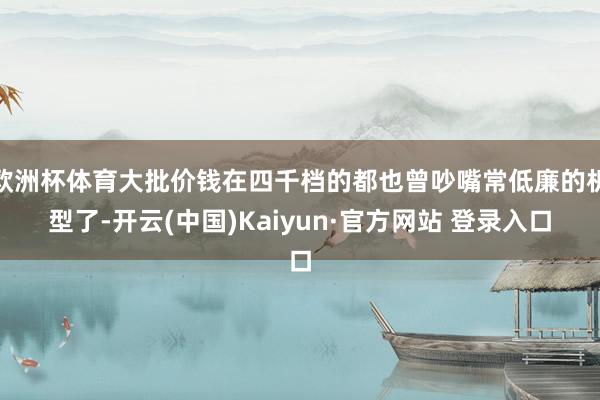 欧洲杯体育大批价钱在四千档的都也曾吵嘴常低廉的机型了-开云(中国)Kaiyun·官方网站 登录入口