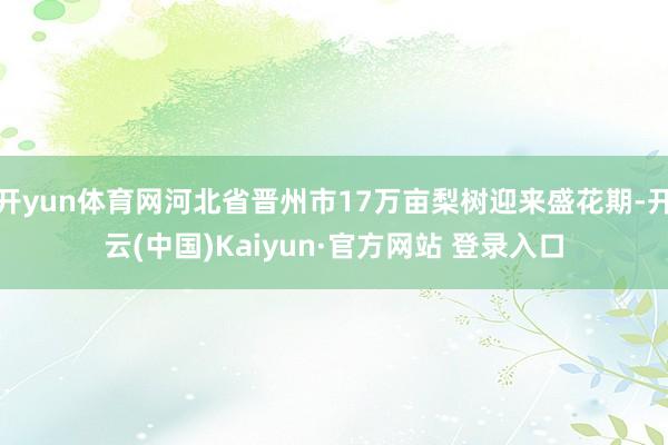 开yun体育网河北省晋州市17万亩梨树迎来盛花期-开云(中国)Kaiyun·官方网站 登录入口