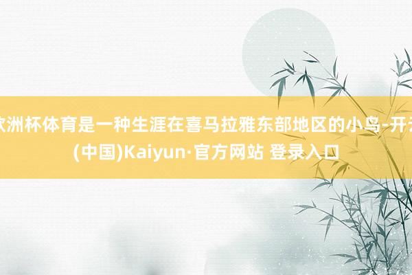 欧洲杯体育是一种生涯在喜马拉雅东部地区的小鸟-开云(中国)Kaiyun·官方网站 登录入口
