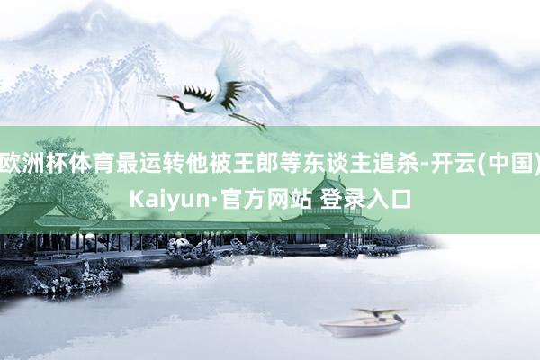 欧洲杯体育最运转他被王郎等东谈主追杀-开云(中国)Kaiyun·官方网站 登录入口