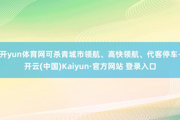 开yun体育网可杀青城市领航、高快领航、代客停车-开云(中国)Kaiyun·官方网站 登录入口