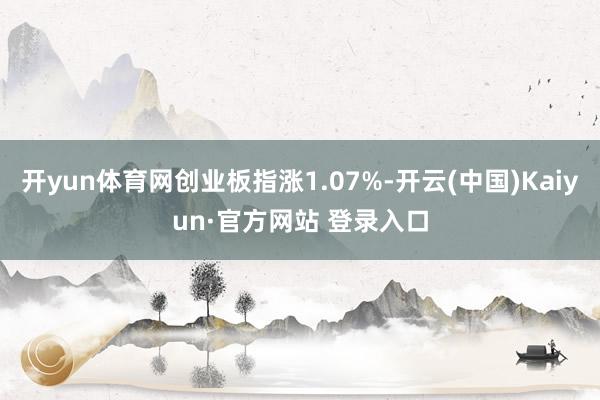 开yun体育网创业板指涨1.07%-开云(中国)Kaiyun·官方网站 登录入口