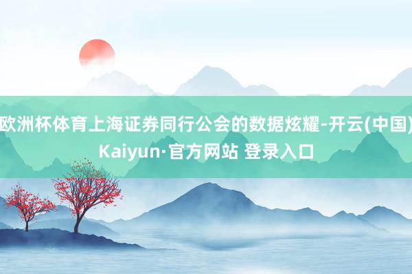 欧洲杯体育上海证券同行公会的数据炫耀-开云(中国)Kaiyun·官方网站 登录入口