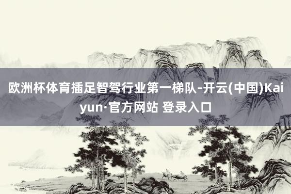 欧洲杯体育插足智驾行业第一梯队-开云(中国)Kaiyun·官方网站 登录入口